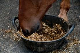Kadbakutti Animal Feed. (Jwari kutti)